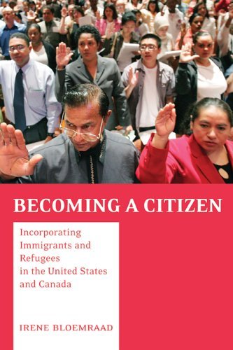 Cover of book Academic explanations of differing levels of immigrant